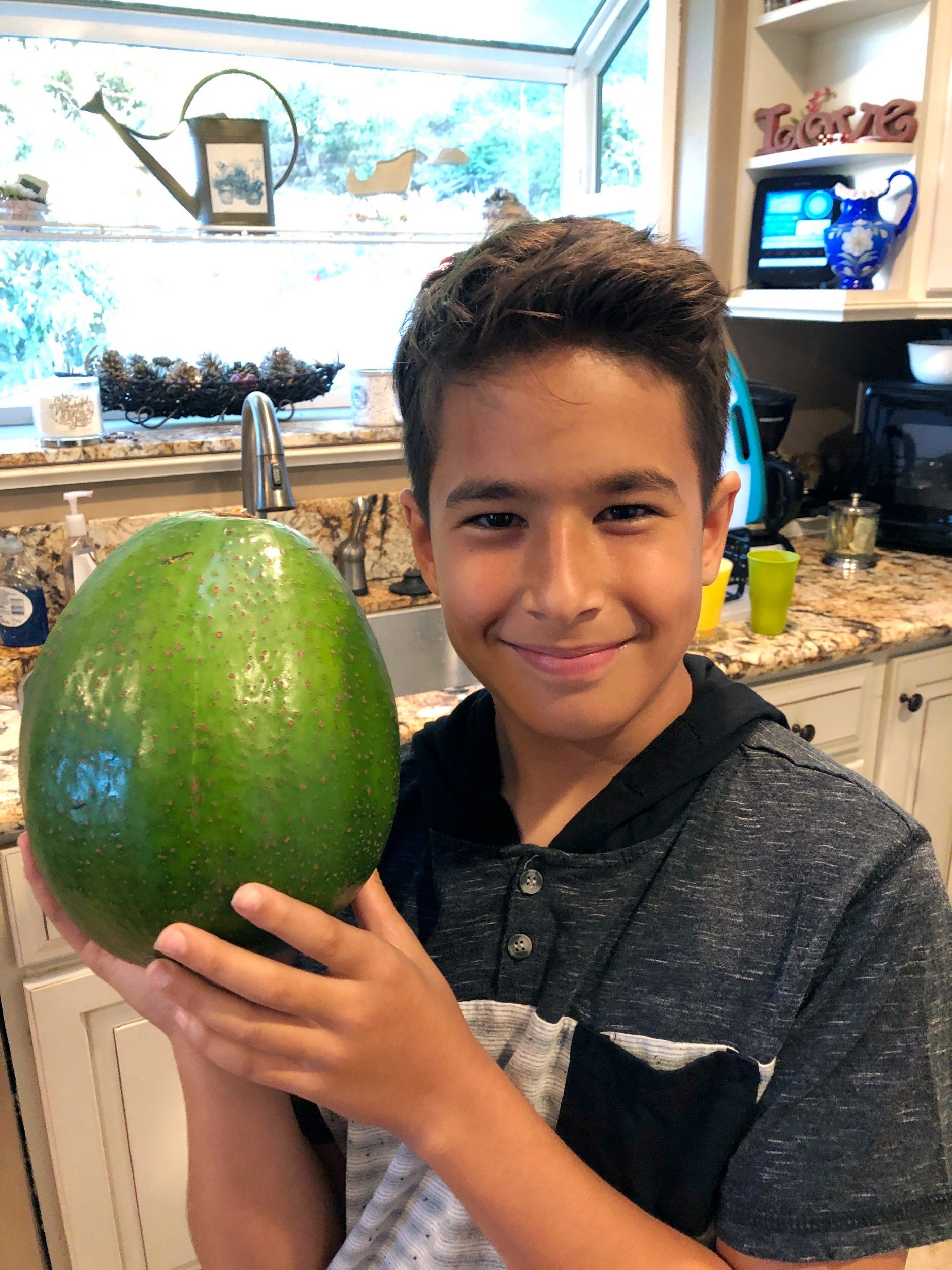 This picture, taken on 13 December 2018, shows Lo’ihi Pokini posing with the record-winning avocado at Kula Country Farms in Kula, Hawaii