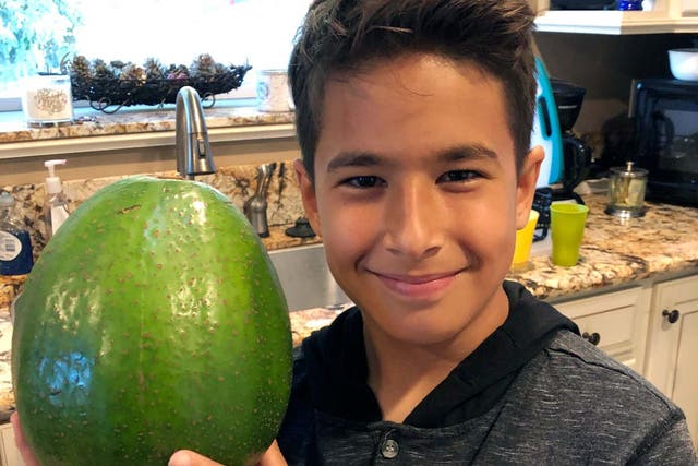 Lo'ihi Pokini poses with the avocado in Kula, Hawaii