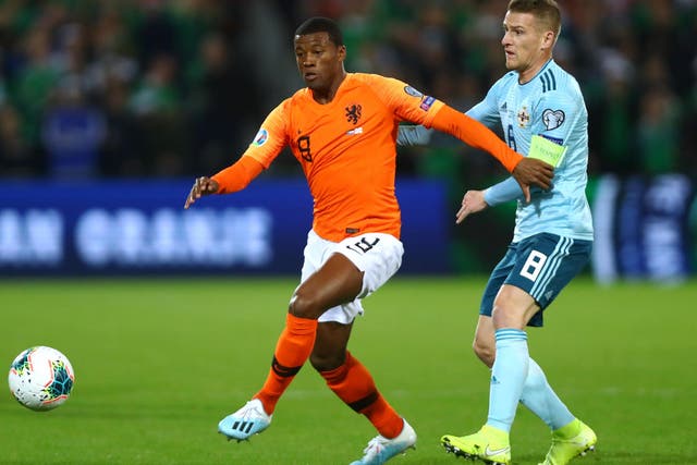 The Dutch know that Northern Ireland will give them a tough test at Windsor Park next month