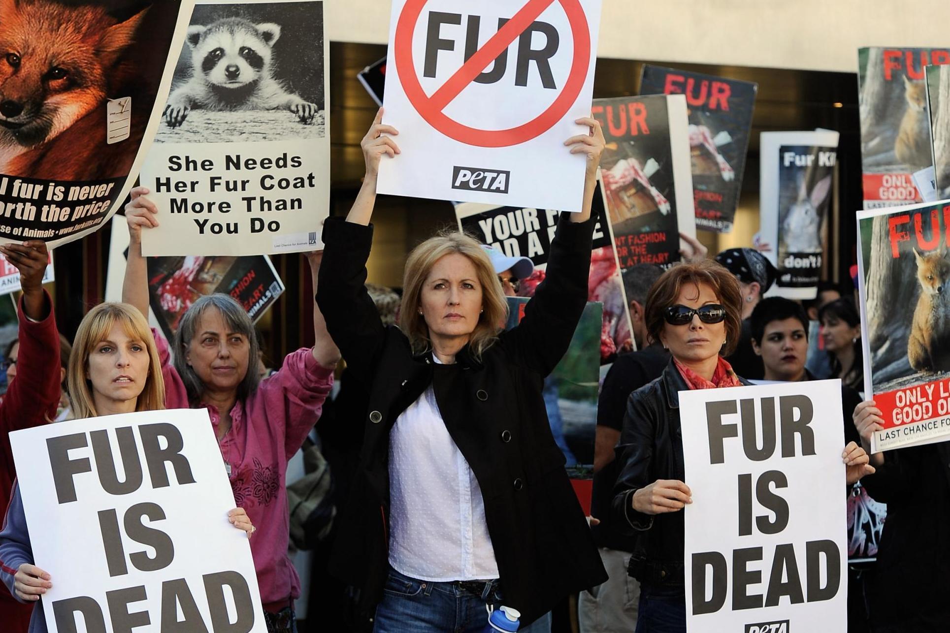 California first US state to ban fur products The Independent