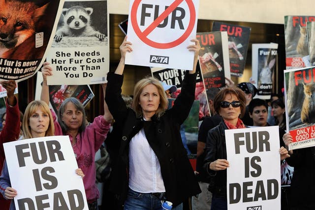 California becomes first state to ban fur (Getty)