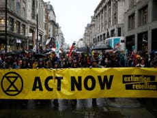 Extinction Rebellion: Nearly 400 scientists endorse civil disobedience