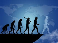 Has human evolution reached its peak for cognitive understanding?