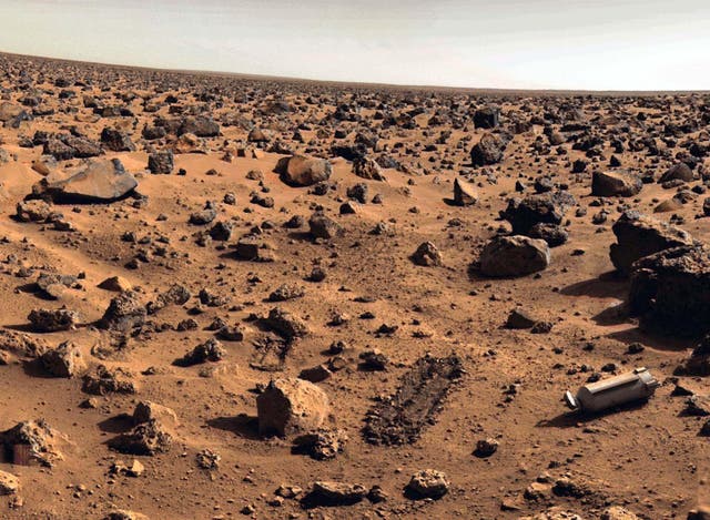 File photo taken on Mars approximately in September 1976 at Utopia Planitia by the US. Viking 2 unmanned spacecraft