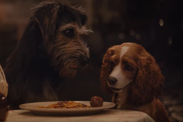 A still from Disney+'s remake of Lady and the Tramp, which uses a mix of live-action and photo-realism
