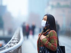 Air pollution ‘can increase risk of miscarriage by 50 per cent’