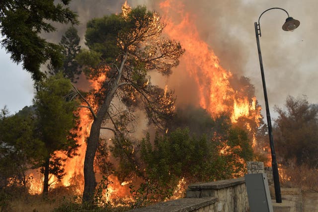 A view of bushfires in south Beirut on 15 October