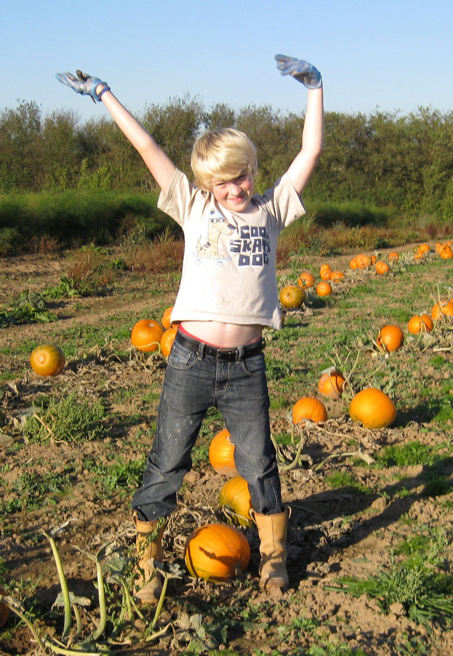 Selling the pumpkins to his friends as a teenager allowed him to earn extra pocket money