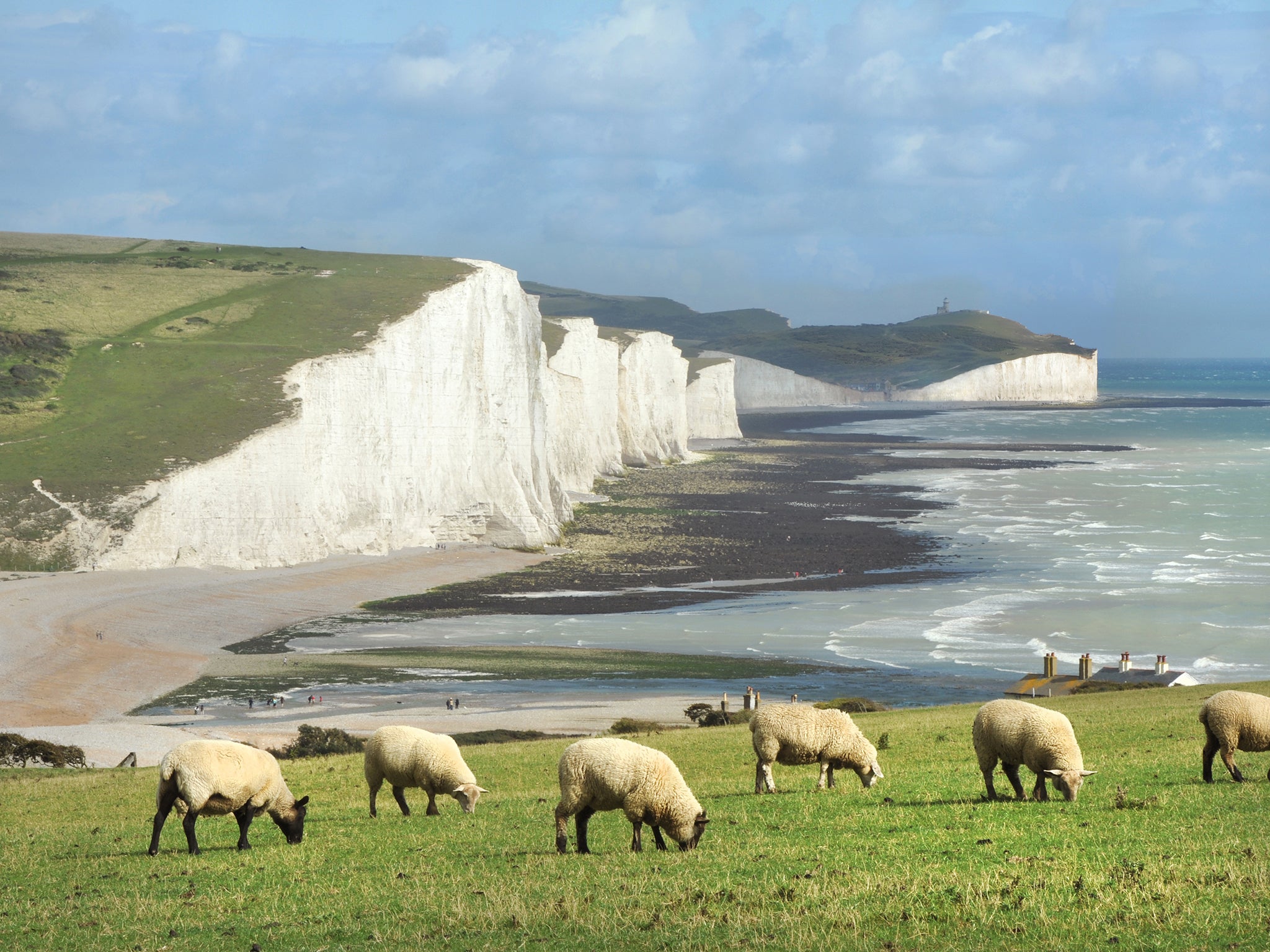 The Seven Sister cliffs on the South Downs overlooking the English Channel
