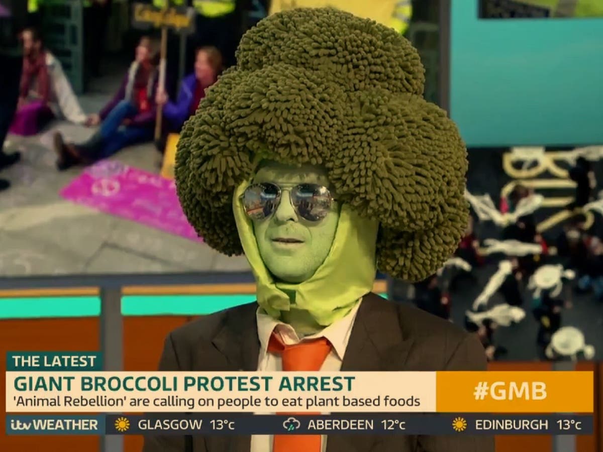 Piers Morgan Attacks ‘mr Broccoli’ Climate Protester In Live Tv 