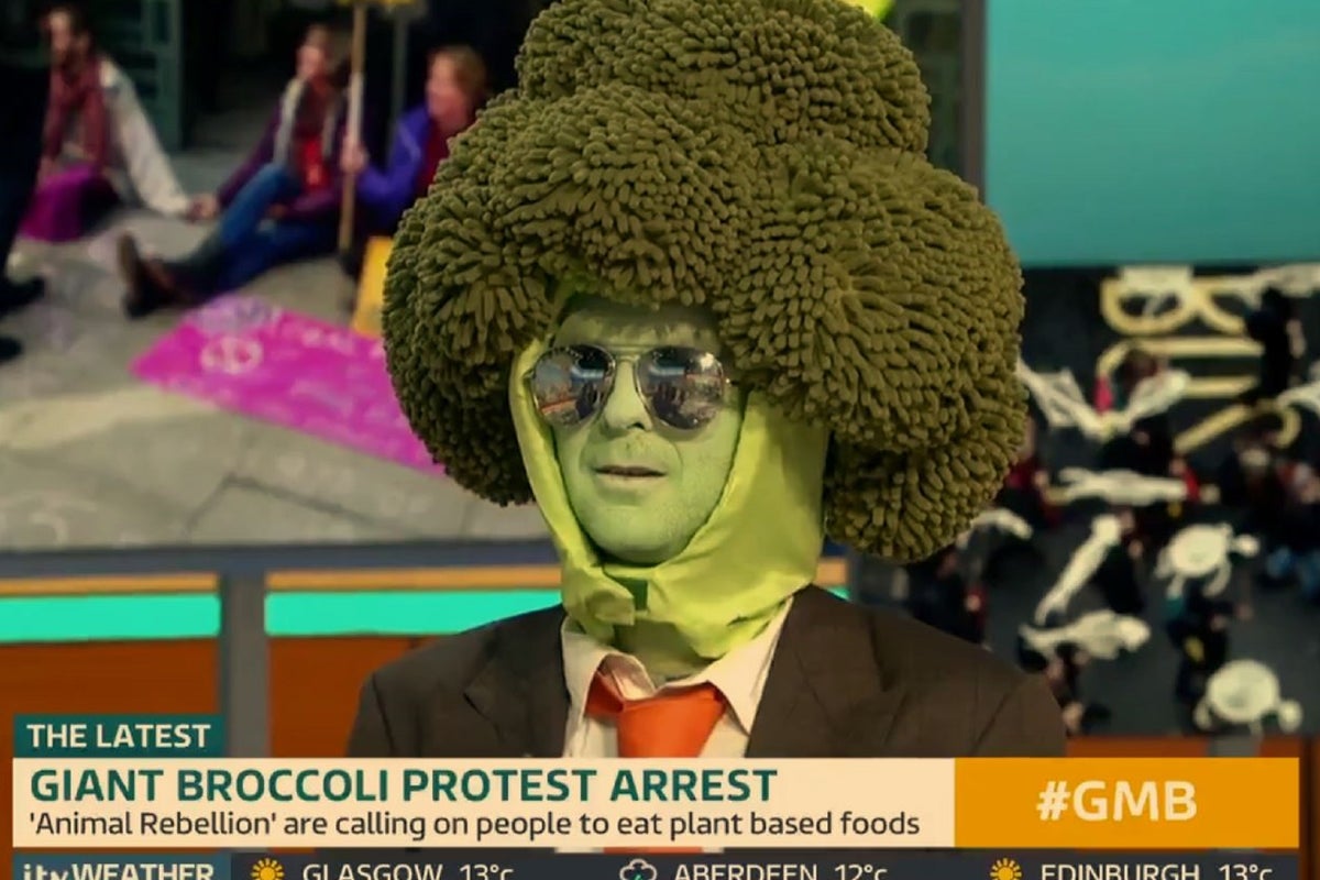 Piers Morgan attacks ‘Mr Broccoli’ climate protester in live TV ...