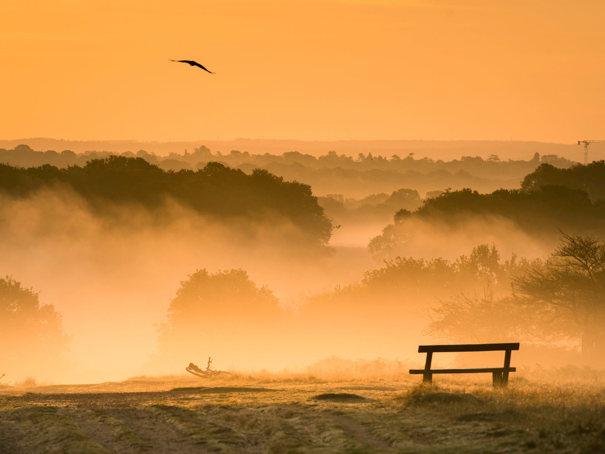 Sunrise over Richmond Park