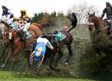Jump racing kills: Should horses risk their lives for our entertainment?