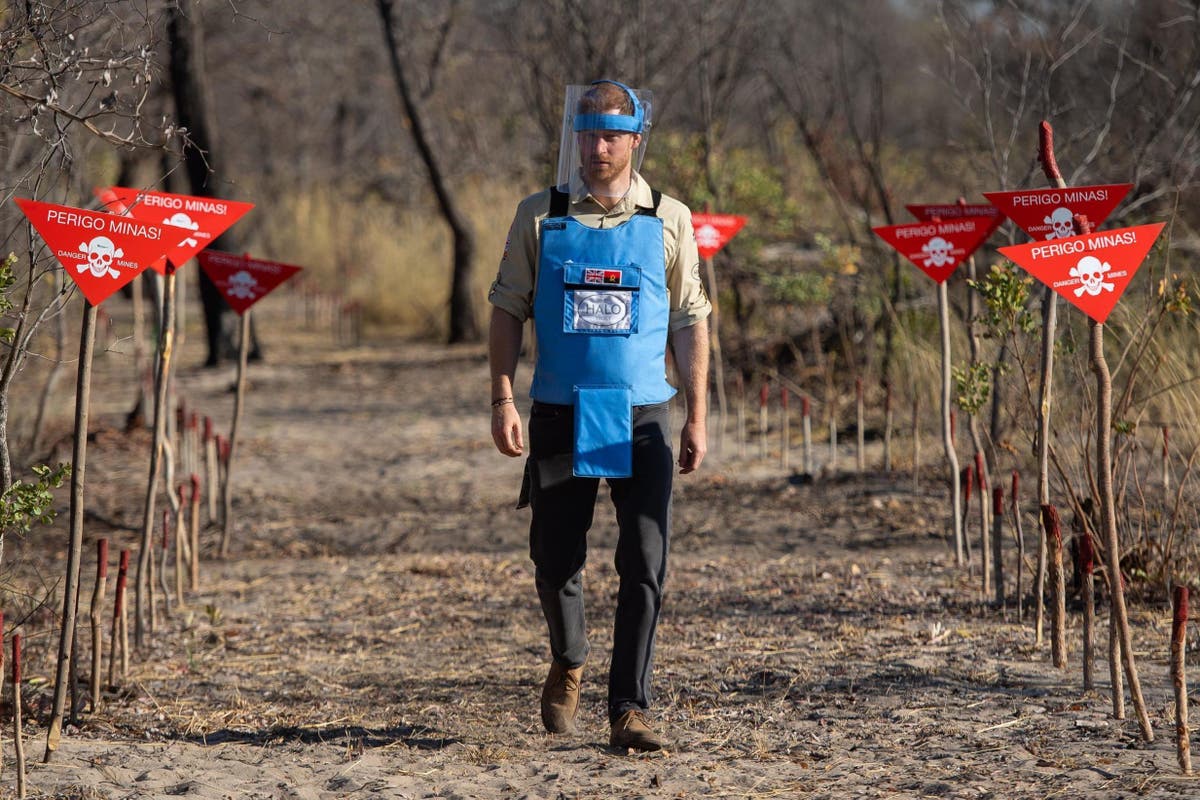 Прошла по разминированному полю в анголе. Ходьба по минному полю. Разминирование территории украины. Идет по минному полю. Идет по минному полю.