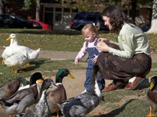 Is it okay to feed ducks bread? Poster divides opinion