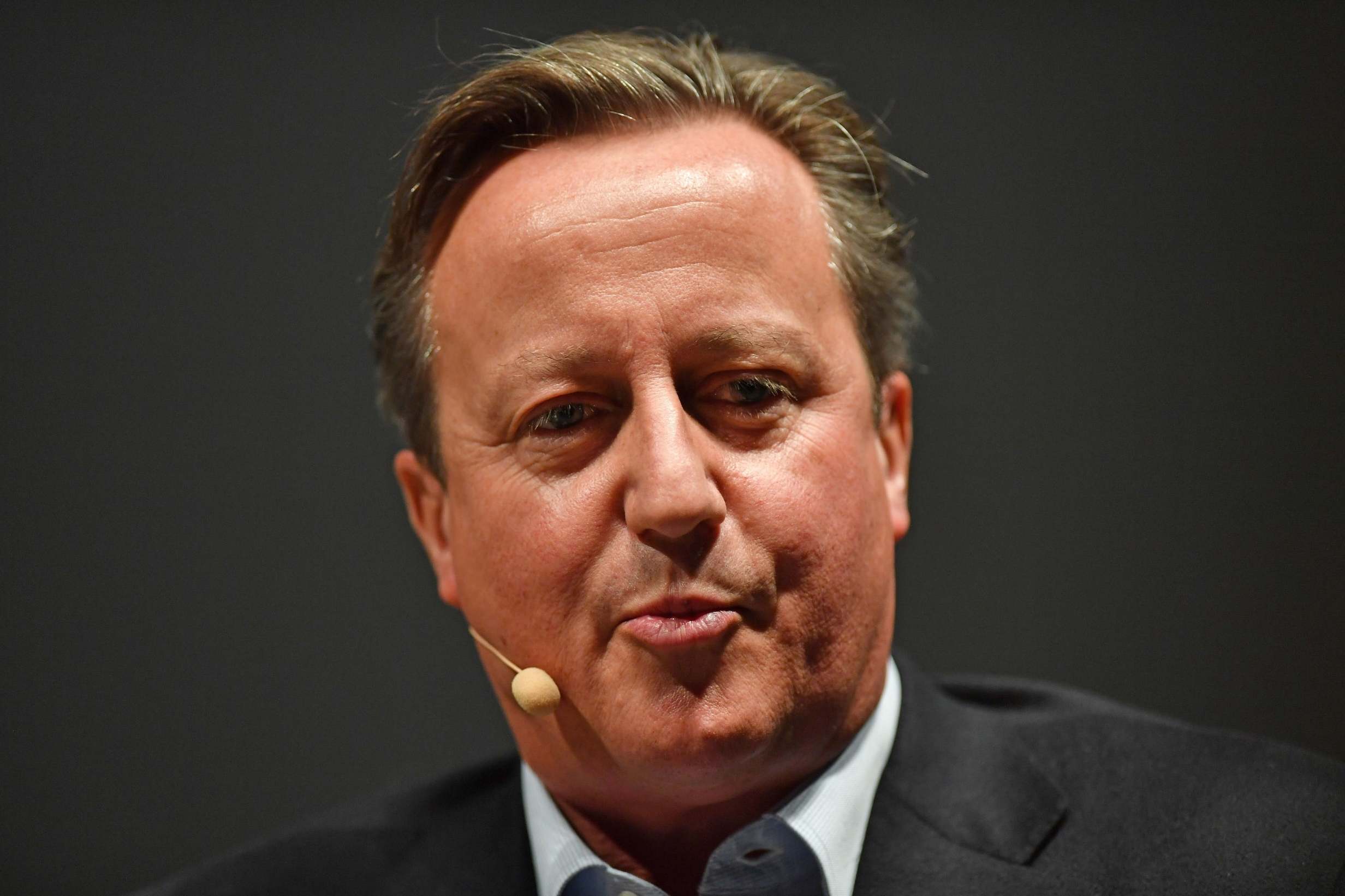 David Cameron banned subsidies for wind power as prime minister