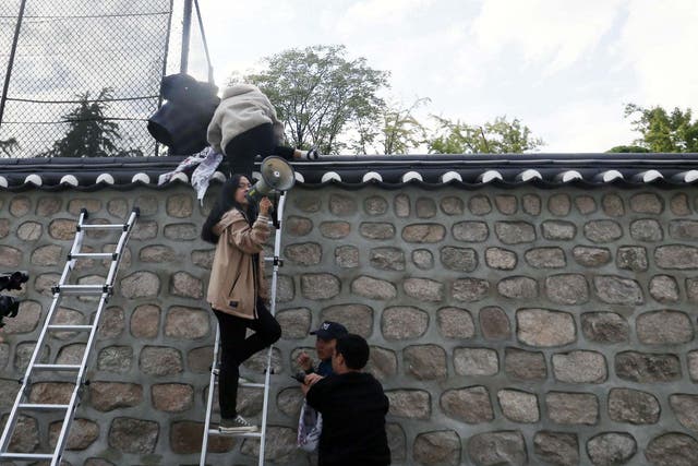 South Korean university student protesters climb over a wall during a protest at the US ambassador's residence in Seoul
