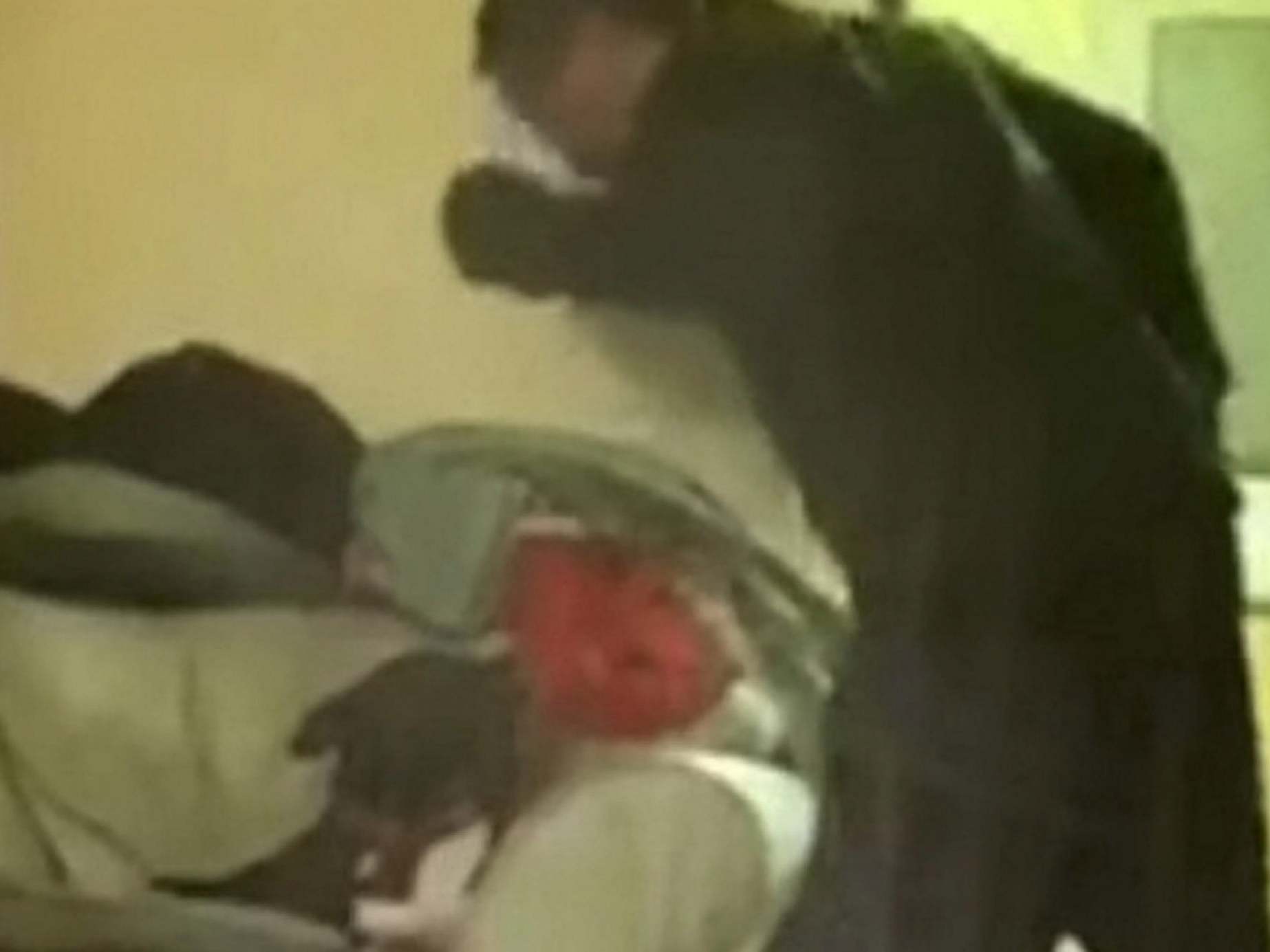 Man who repeatedly punched cowering pet banned from keeping animals