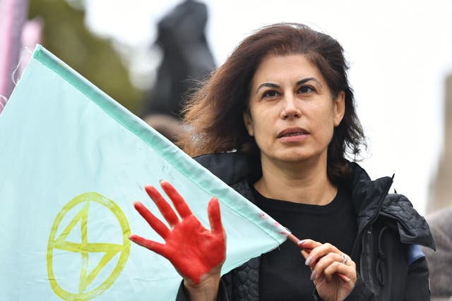 Extinction Rebellion protester red hand westminster