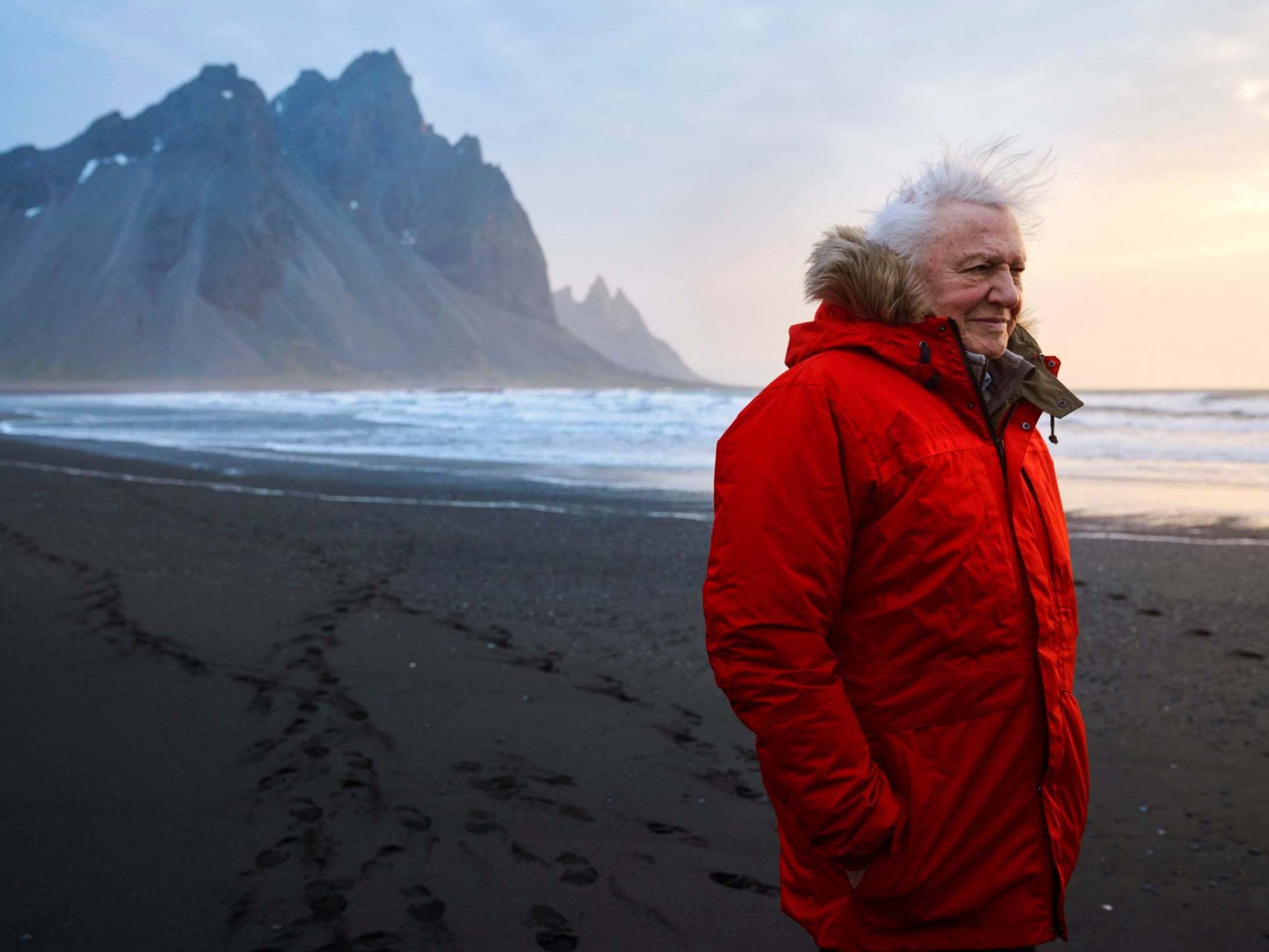 David Attenborough brands Boris Johnson ‘shameful’ for skipping climate change TV debate - The Independent