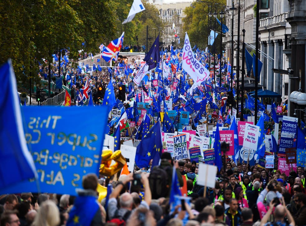 <p>Hundreds of thousands show their support for our Final Say campaign in London, October 2019 </p>