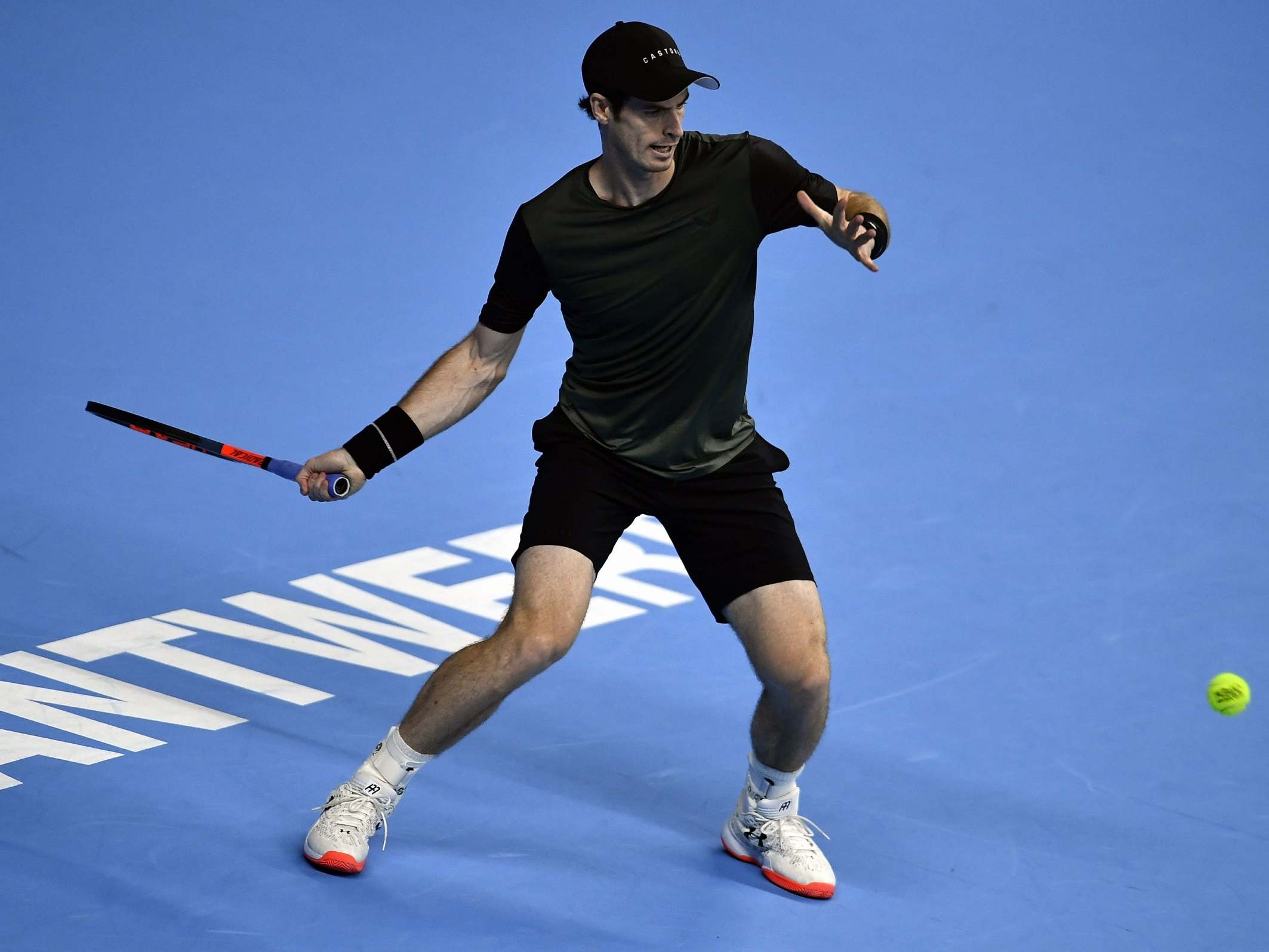Andy Murray in action in Antwerp