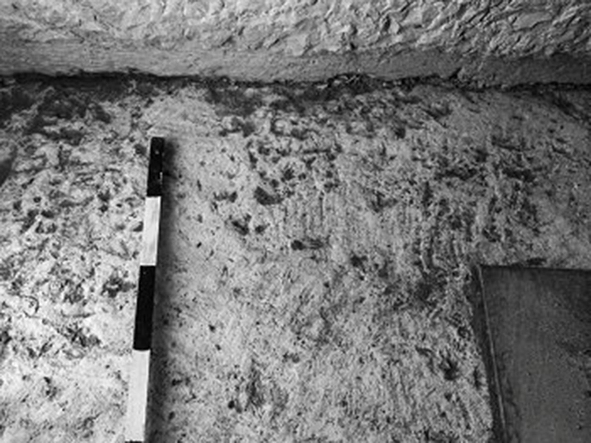 Road was paved with large stone slabs as was customary throughout the Roman Empire