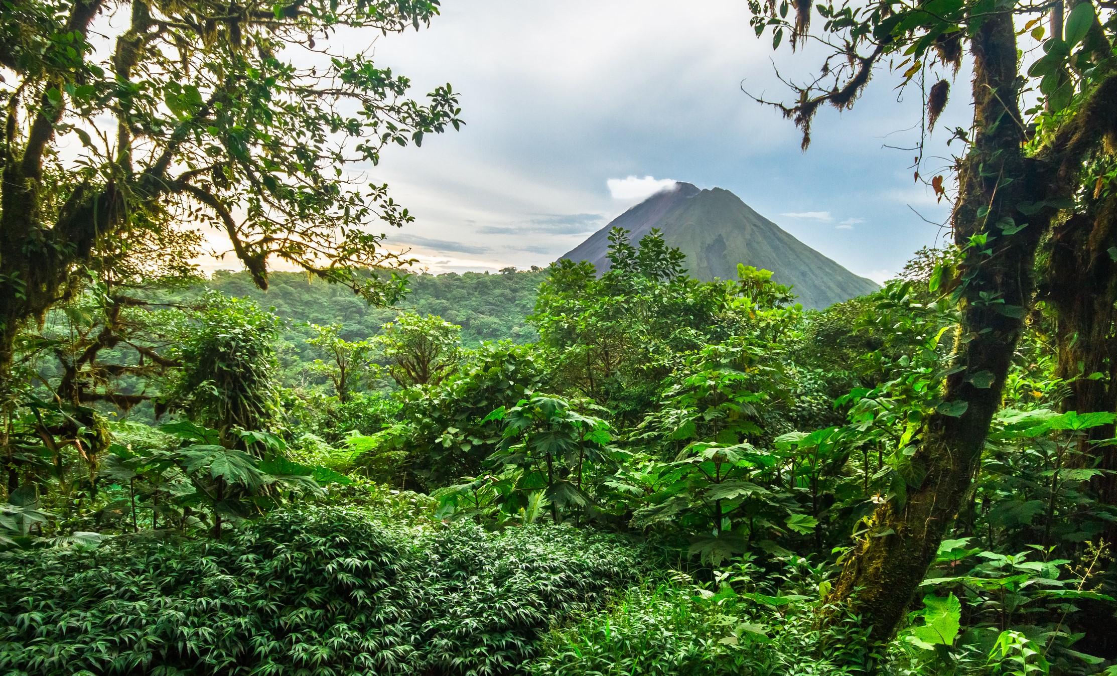 Costa Rica is known for its lush green volcanic valleys (Getty)