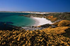 Falklands Islands ‘getting full’ with tourism surge
