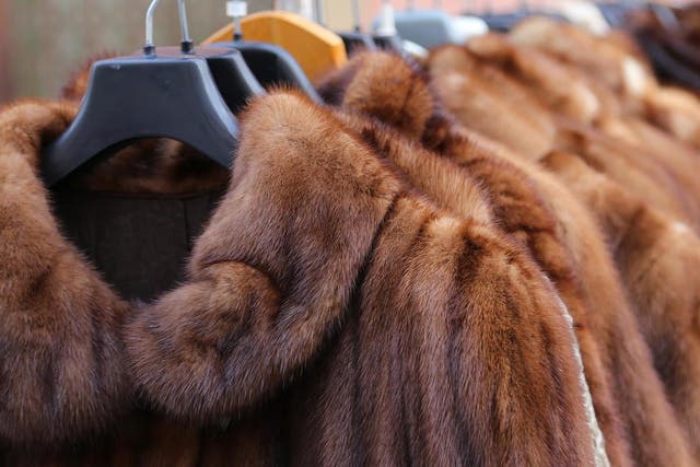 House of Fraser first banned all fur more than 10 years ago and reaffirmed its commitment to being fur-free as recently as 2018