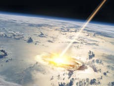 Asteroid that ended dinosaurs acidified ocean causing mass extinction