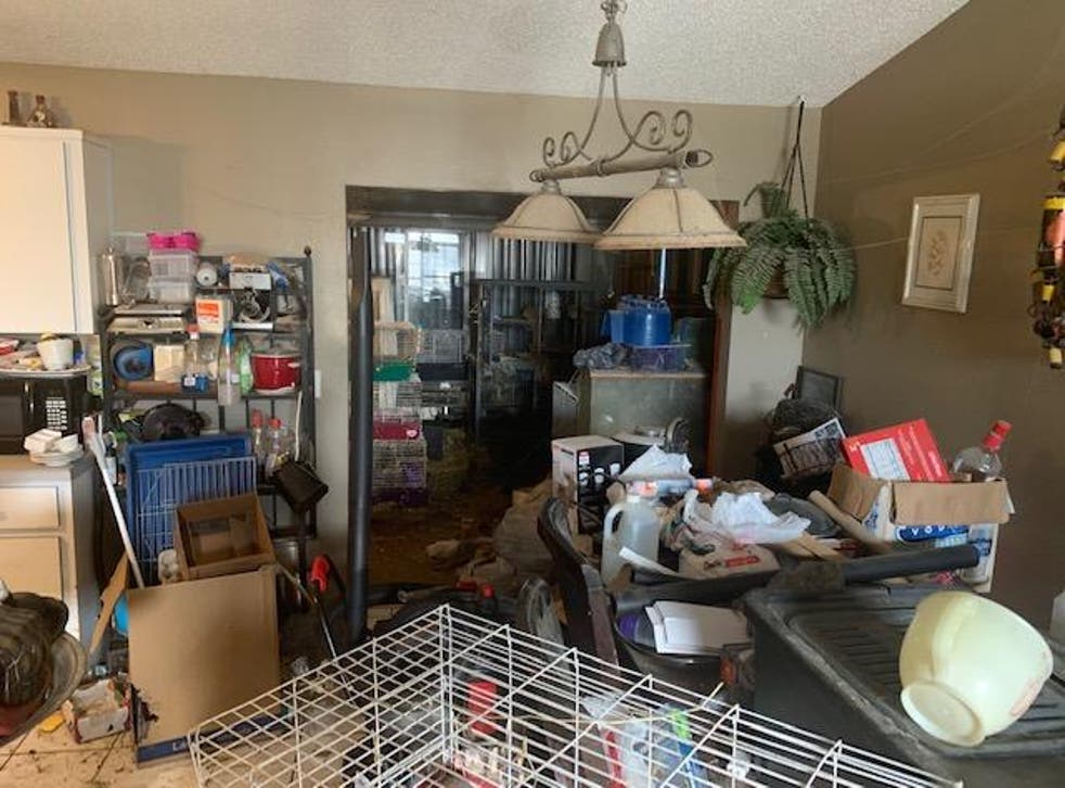 Police in Edgewater, Florida discovered 245 animals living in a home with three children.
