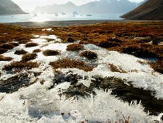 Thawing permafrost turns Arctic into net source of carbon, study finds