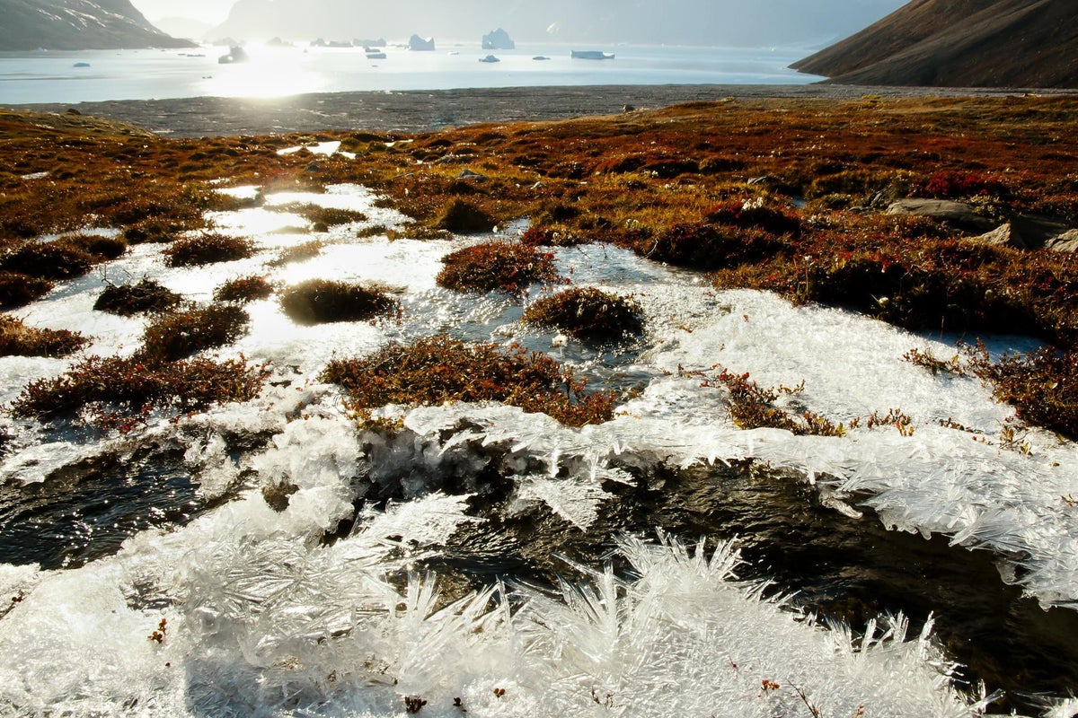 Thawing permafrost turns Arctic from carbon sink into carbon emitter, study finds