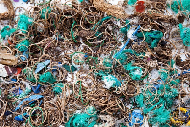 Elastic bands and fishing waste collected from Mullion Island where birds had dropped and regurgitated them