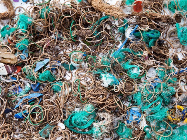 Elastic bands and fishing waste collected from Mullion Island where birds had dropped and regurgitated them