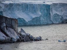Melting glaciers reveal five new new islands in Russian Arctic