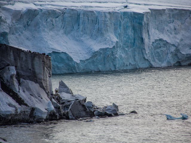 Sea ice off Franz Josef Land. Russian research crews found one new island as glaciers retreat on the archipelago. 30 new islands, bays and capes have been discovered by Russia since 2015