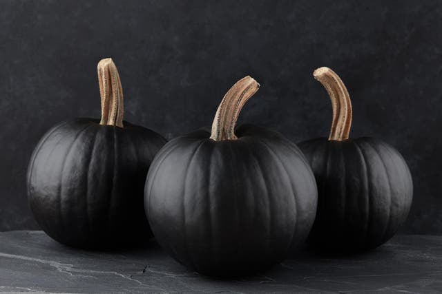 Black jack-o'-lanterns pulled from Bed Bath and Beyond after blackface comparisons (News12)