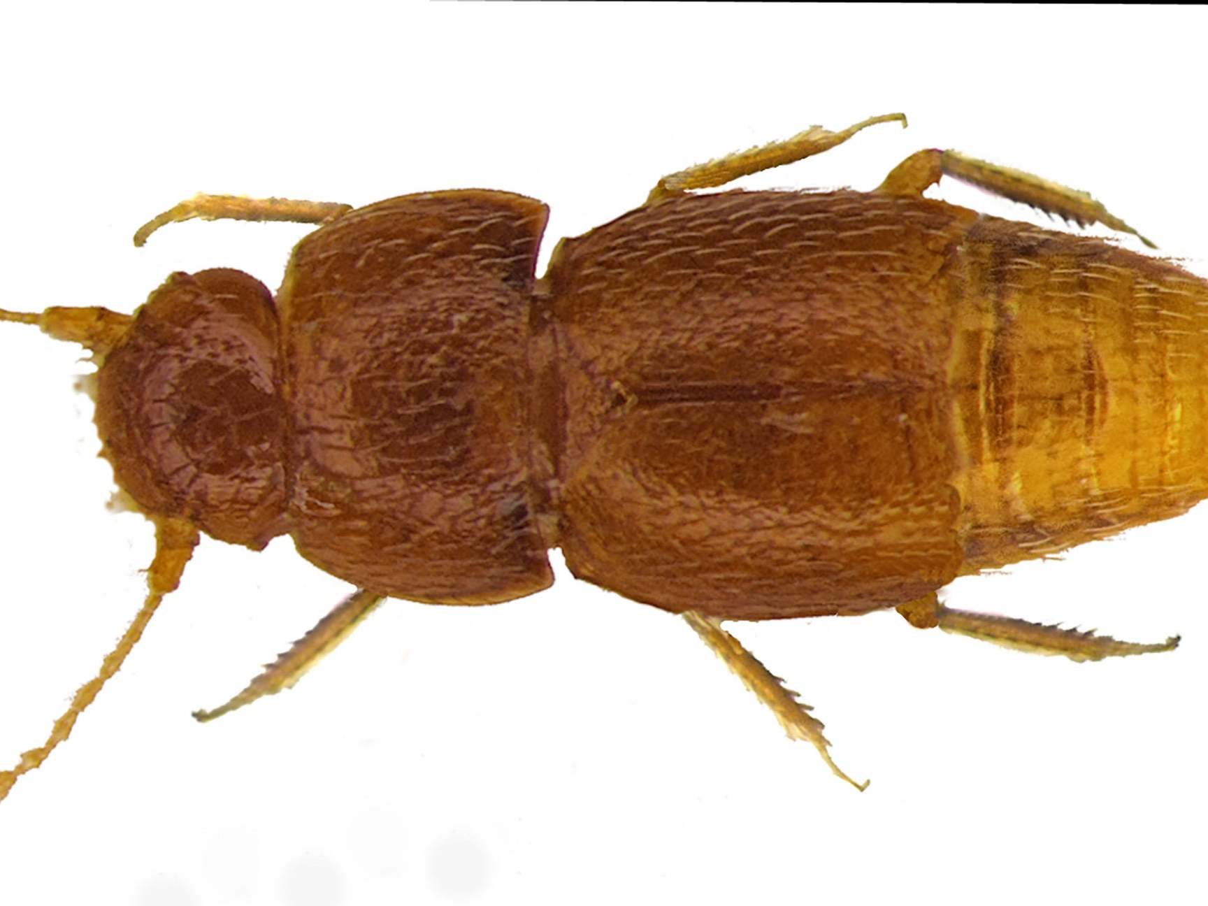 Related: Thunberg tells rally that 'change is coming, whether you like it or not'