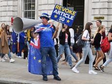 Gate-crashing TV and fighting fascists with Stop Brexit Man