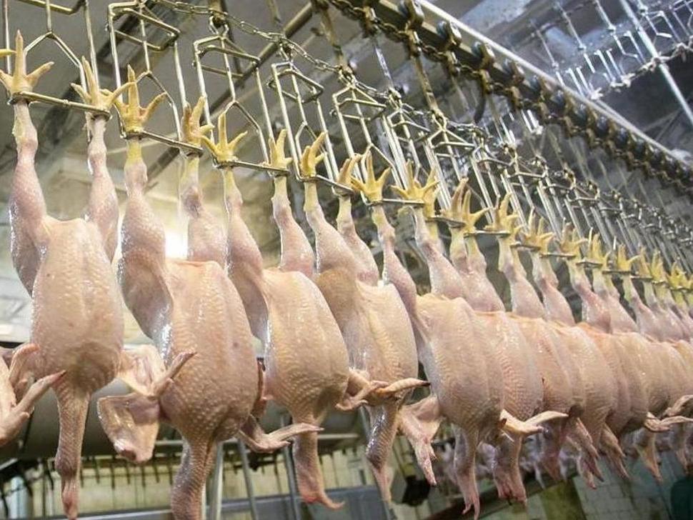 People are going hungry. The least the government can do is abandon its flirtation with chlorinated chicken