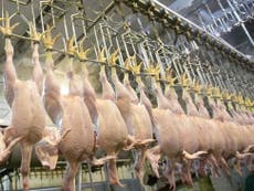 Government ‘to keep ban on chlorinated chicken after Brexit’