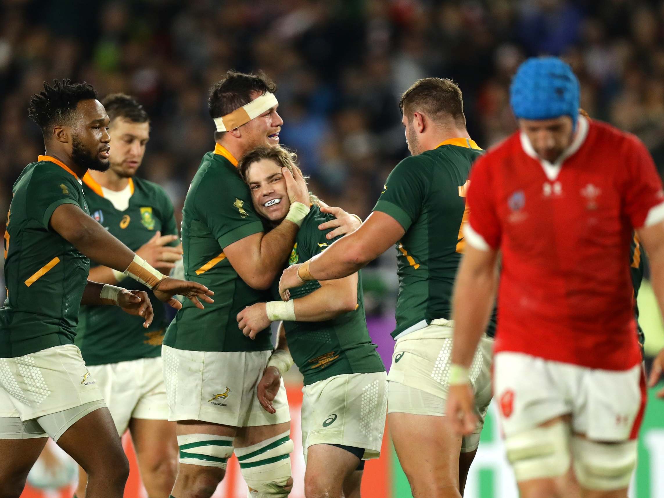 Wales vs South Africa Rugby World Cup semi-final result The Independent The Independent