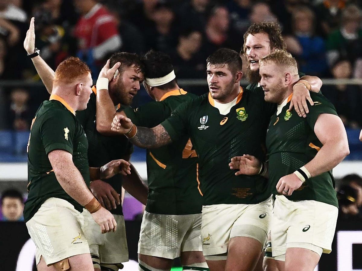 Wales vs South Africa: The one thing England should fear about the Springboks