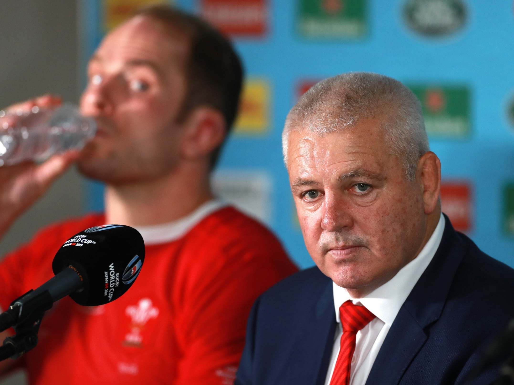Wales vs South Africa: Warren Gatland thinks Springboks have 'very good chance' of beating England