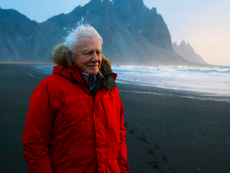 David Attenborough’s ‘Seven Worlds, One Planet’ is dazzling and vital