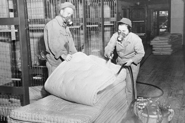 DDT was used for all sorts in Second World War times, including killing bed bugs