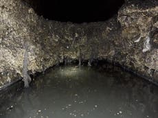 Fatberg as big as double-decker bus removed ‘by hand’ from London sewer