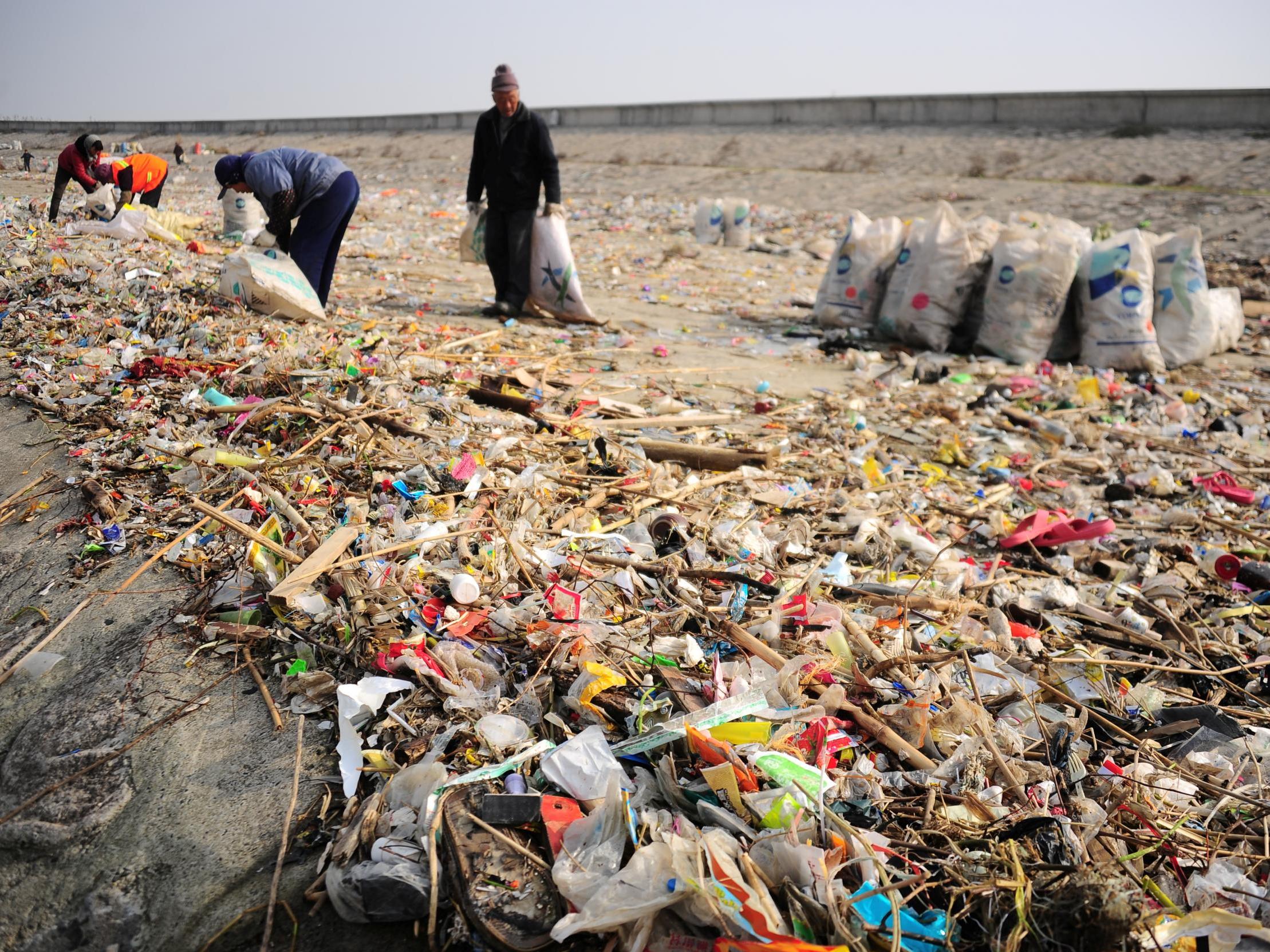 Workers clear rubbish from the bank of Yangtze river in Taicang, in China's Jiangsu province